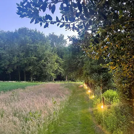 Natuurhuisje - Gastenverblijf De Kleine Hazerij Wijhe Exterior foto