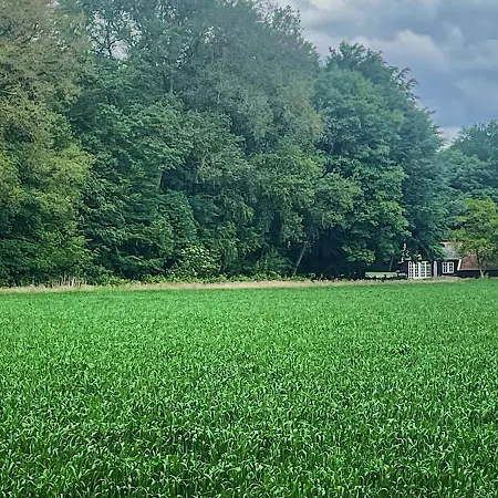 Natuurhuisje - Gastenverblijf De Kleine Hazerij Wijhe Exterior foto