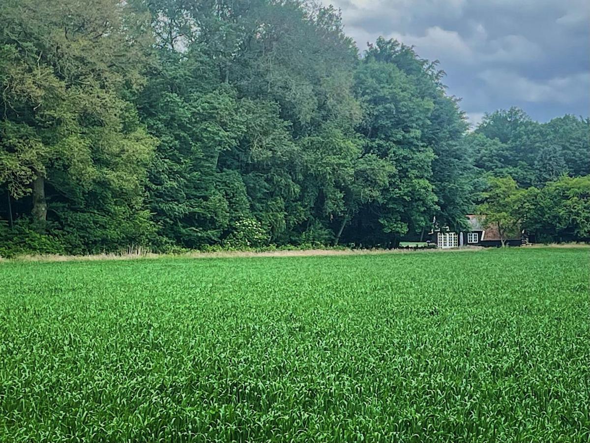 Natuurhuisje - De Kleine Hazerij Сasa de vacaciones